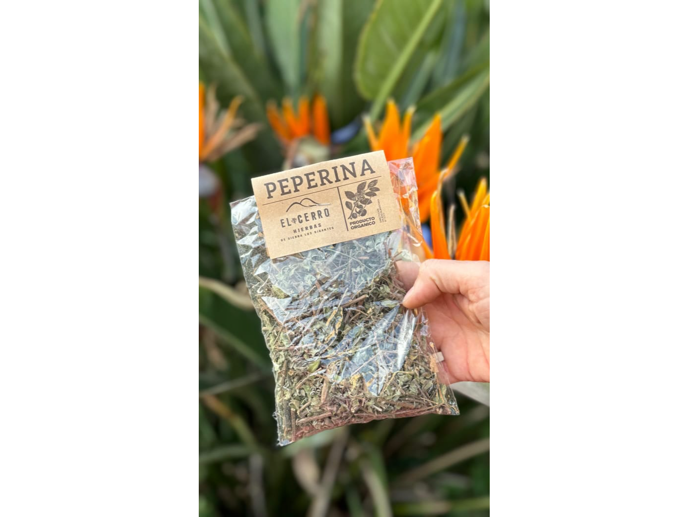 Peperina - El Cerro Hierbas.