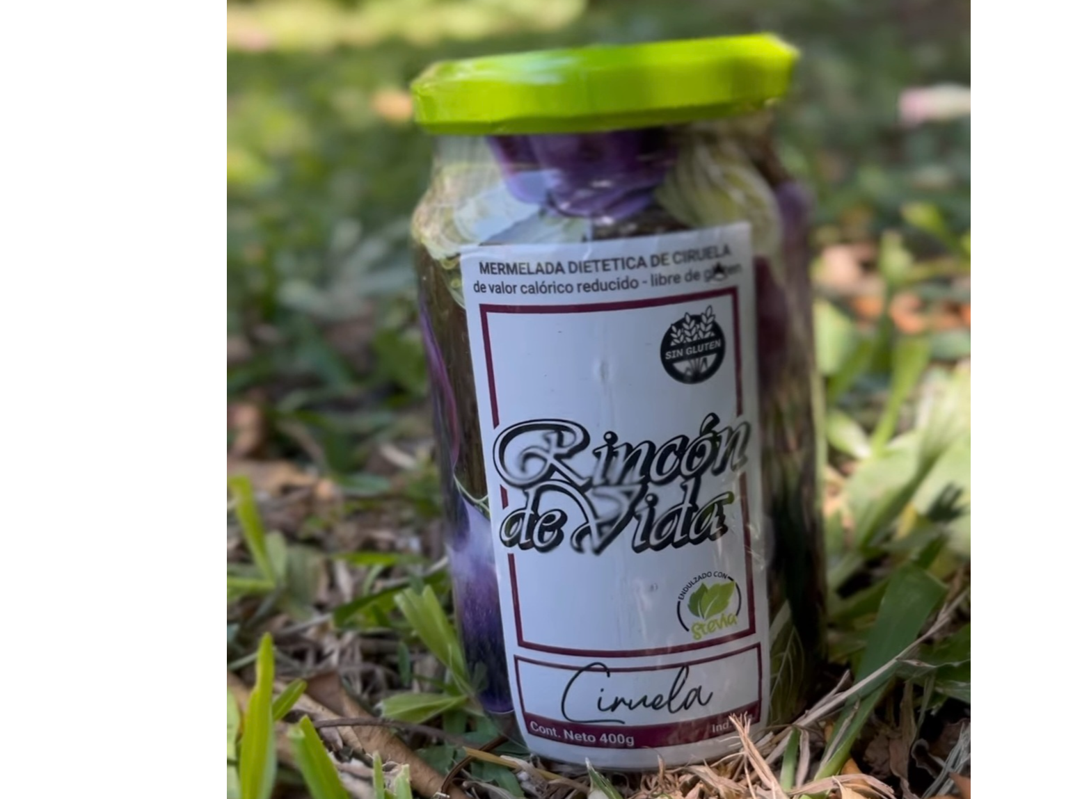 Mermelada con stevia sabor  Ciruela x 400grs