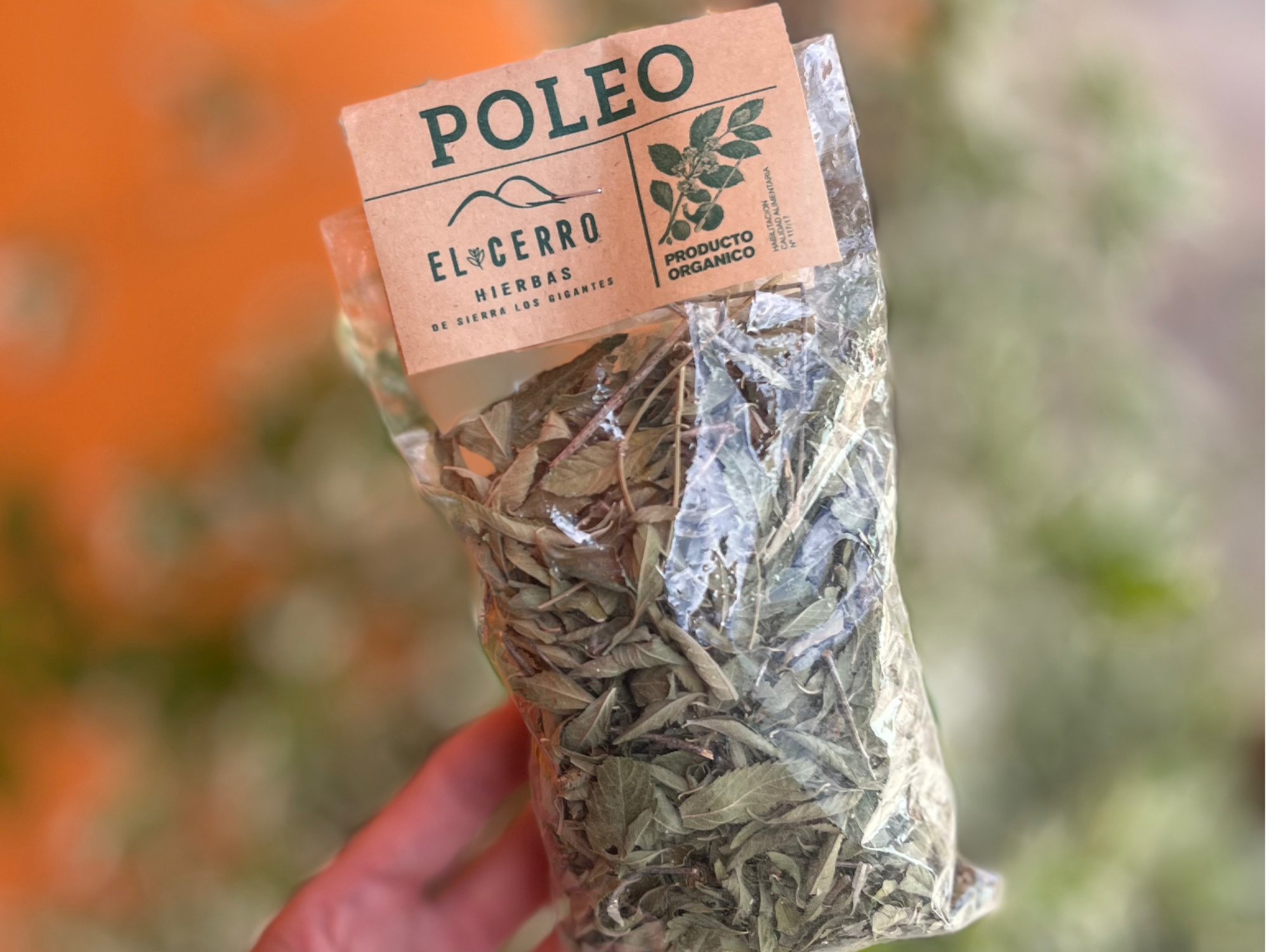 Poleo - El Cerro Hierbas