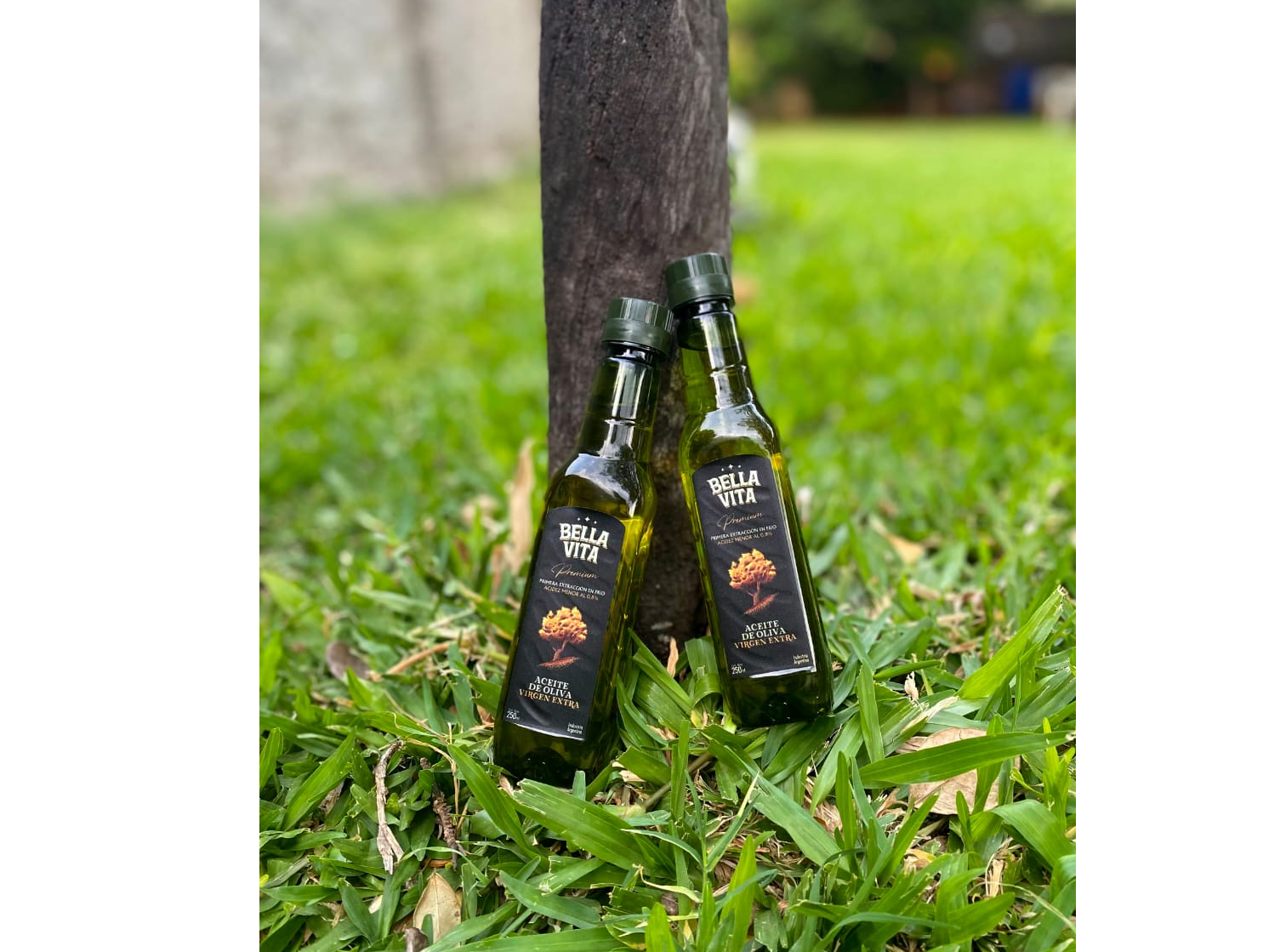 Aceite de oliva virgen extra premium - BELLA VISTA -  x 250 cc