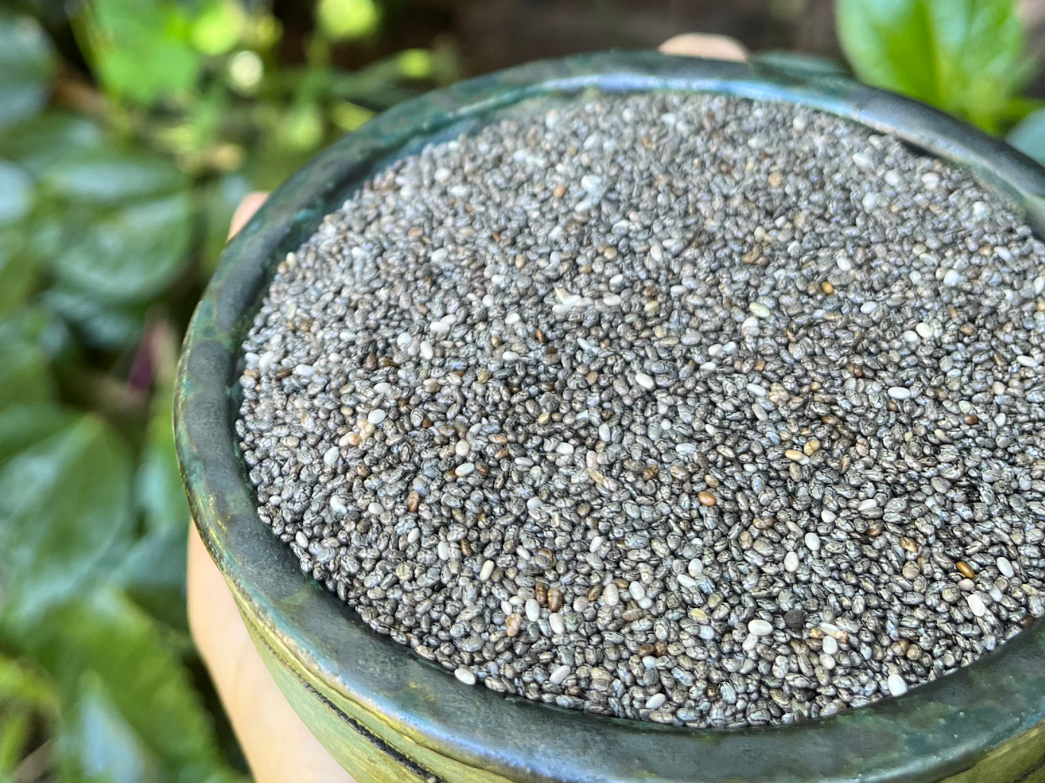 Semillas de chia premium