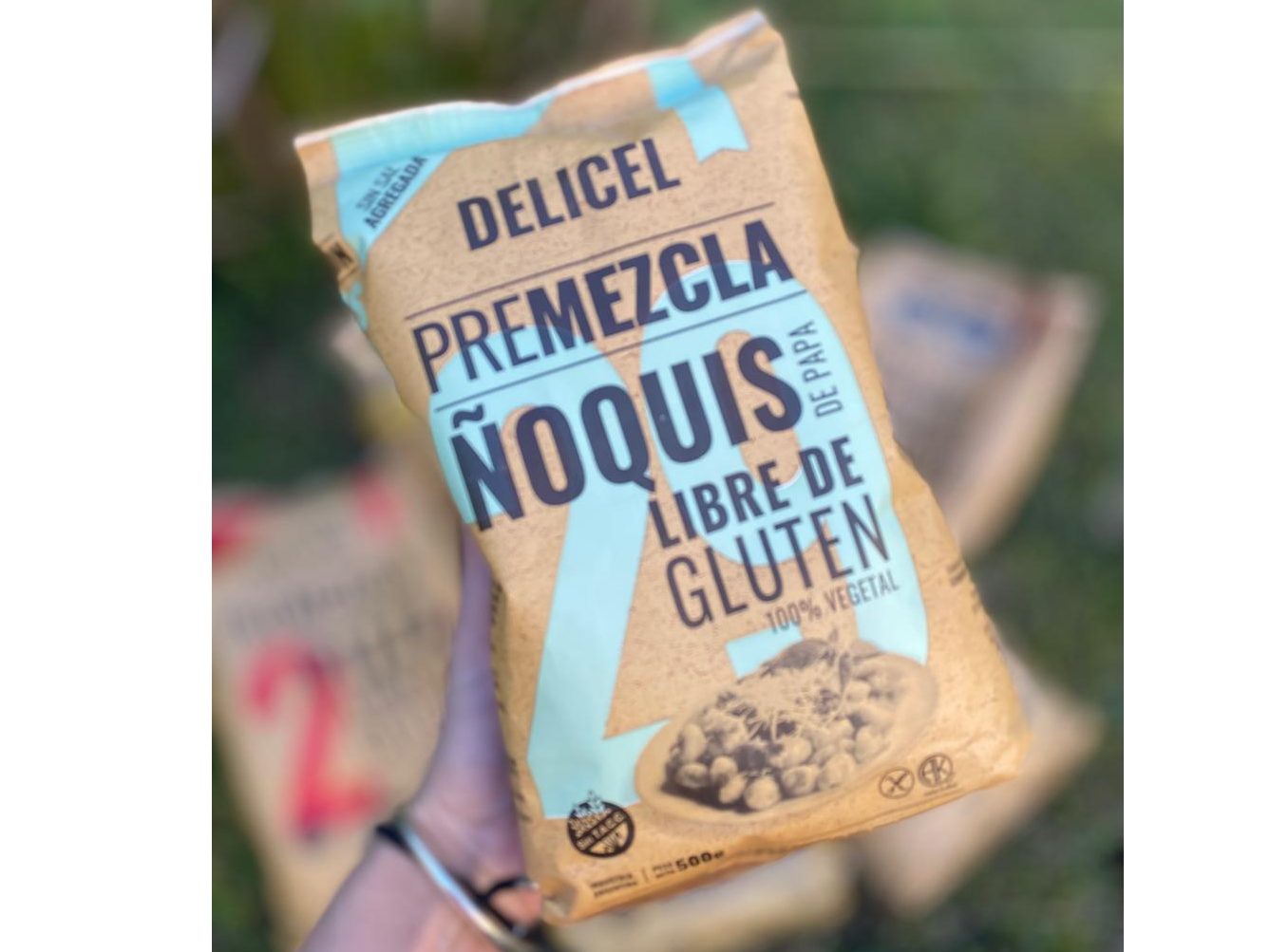 Premezcla ñoquis de papas N° 29