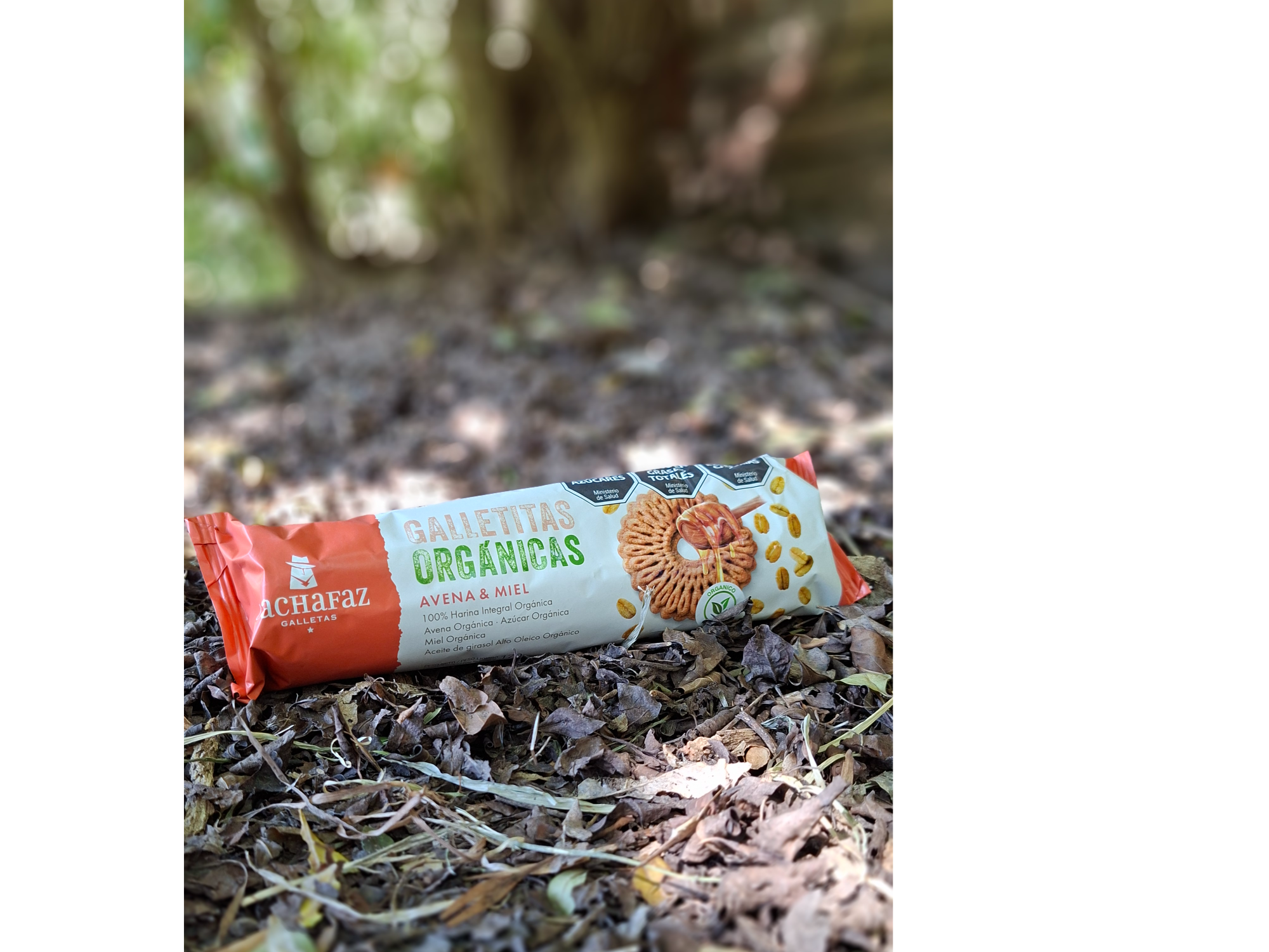 Galletas organicas avena y miel x 170grs