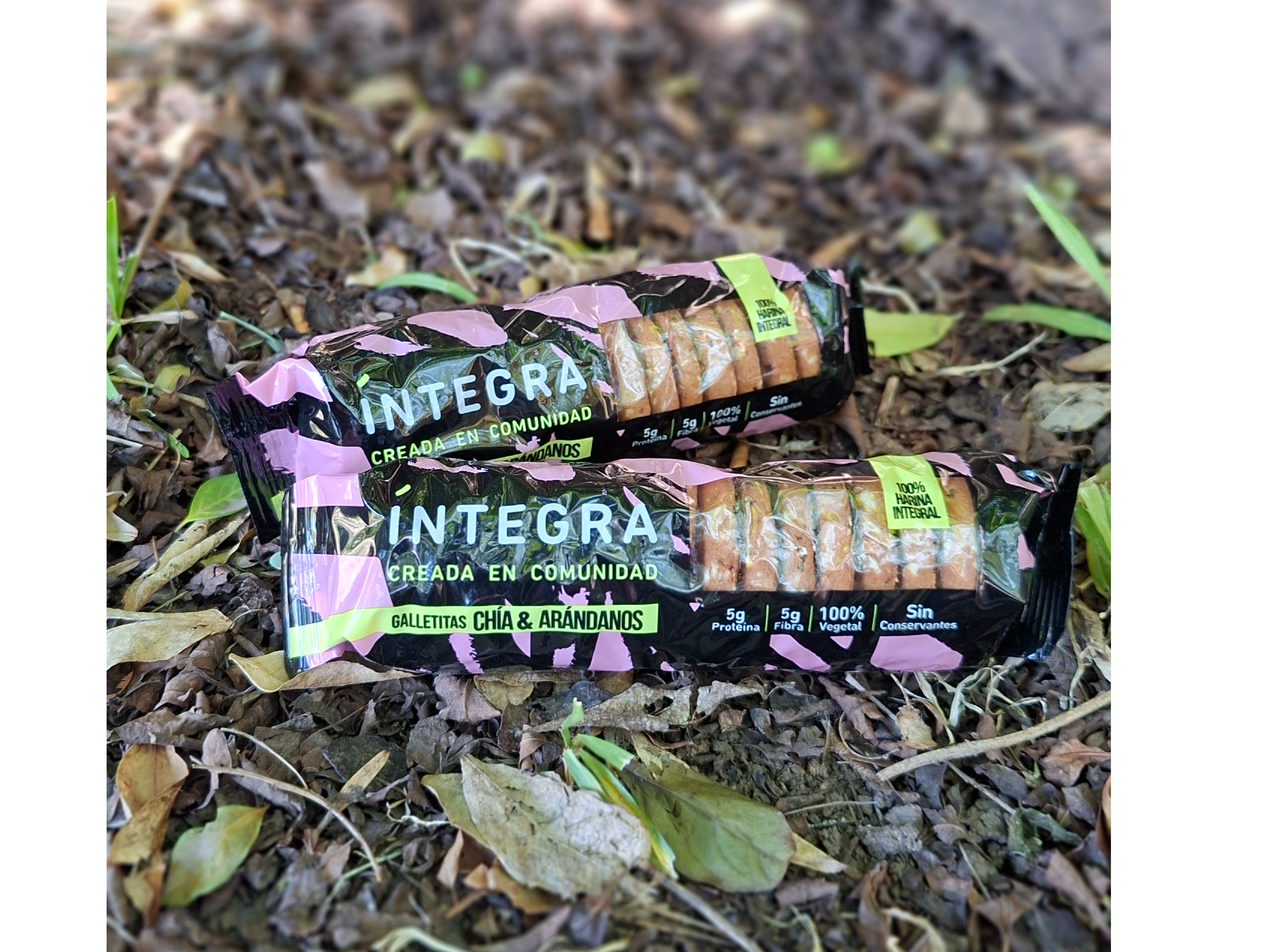 Galletitas arandanos y chia x 200grs