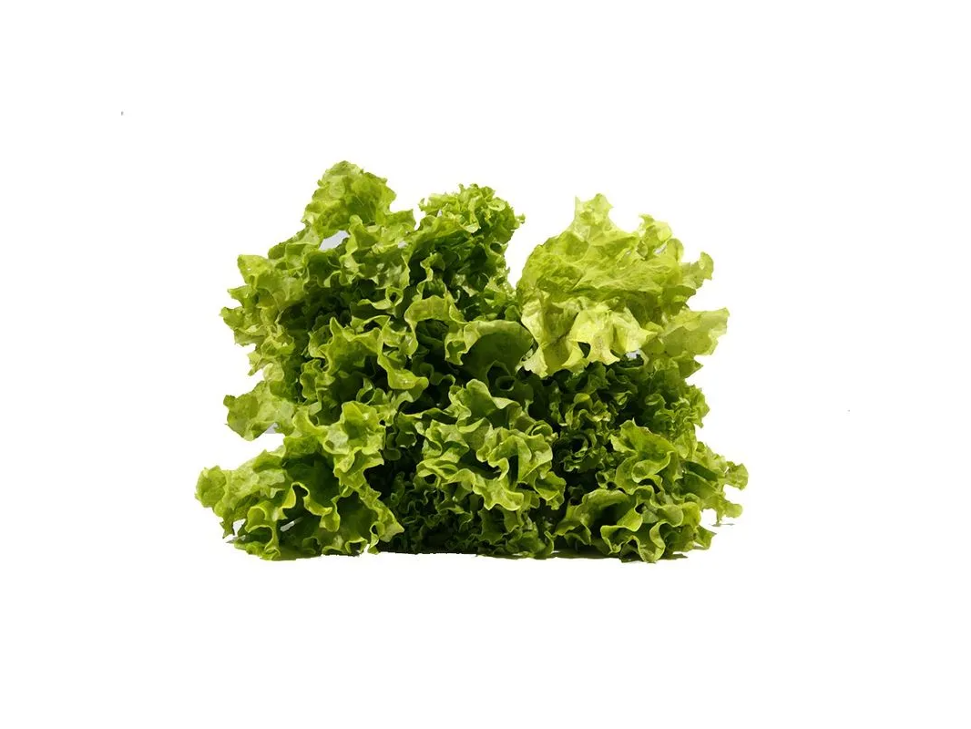 Lechuga Francesa x Kg