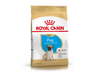 Royal Canin Pug Puppy