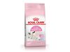 Royal Canin Mother & Babycat
