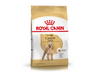 Royal Canin Caniche Adult