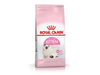 Royal Canin Kitten