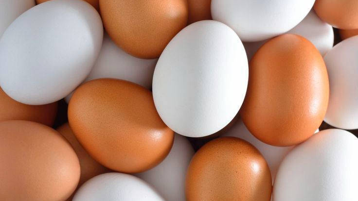 HUEVOS