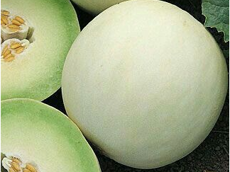 Melon