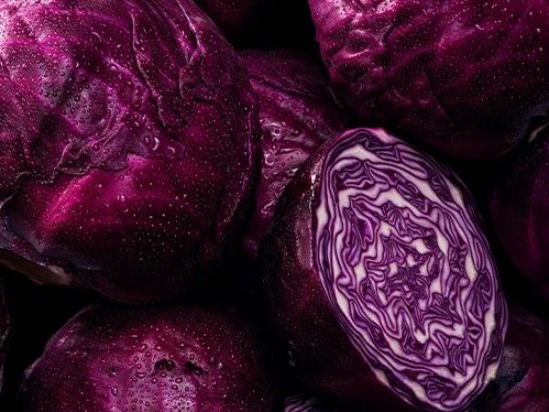 Repollo morado
