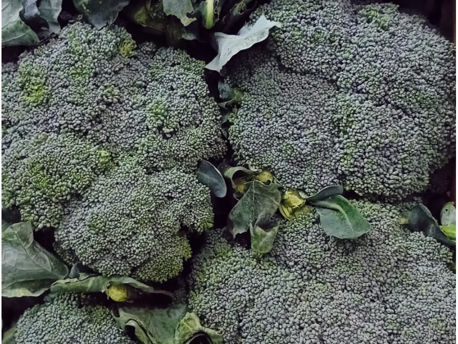 Brocoli