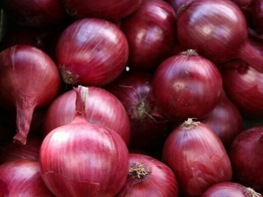Cebolla morada