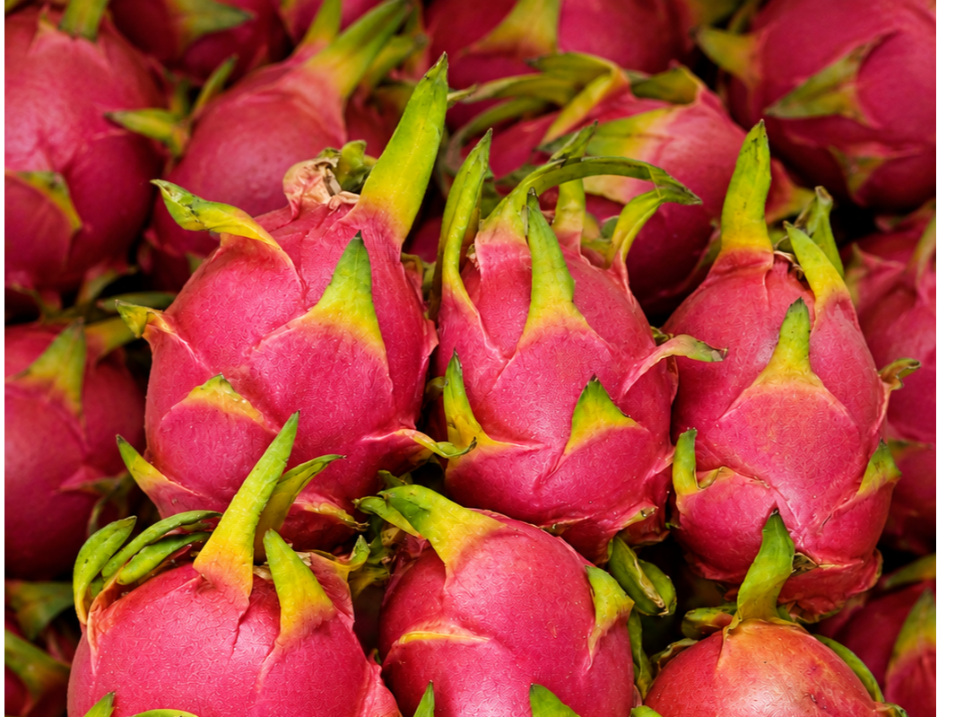 Fruta del dragón