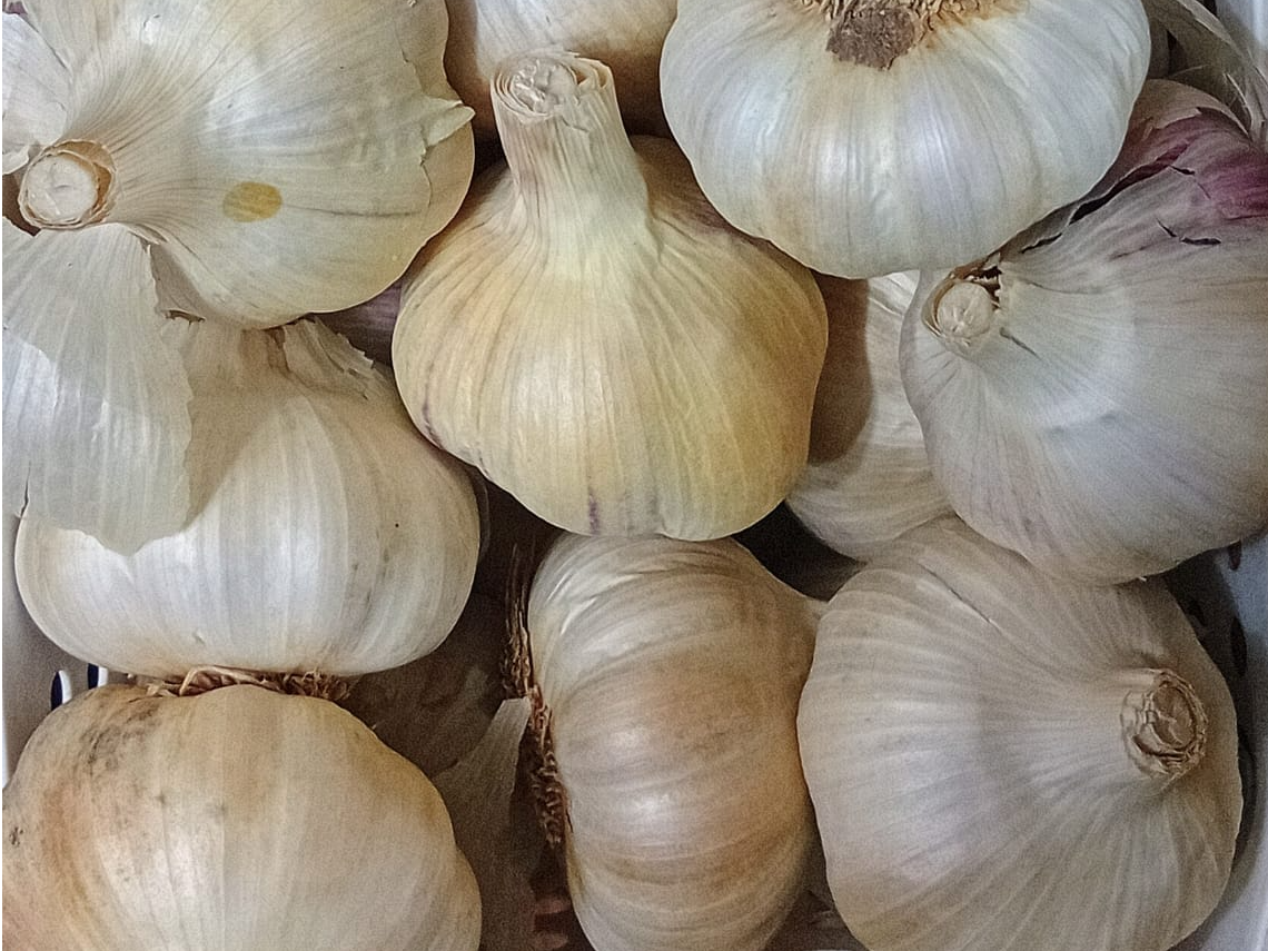 Ajo de Dulce Fruta