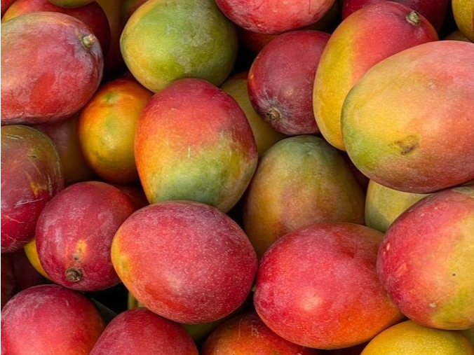 Mango
