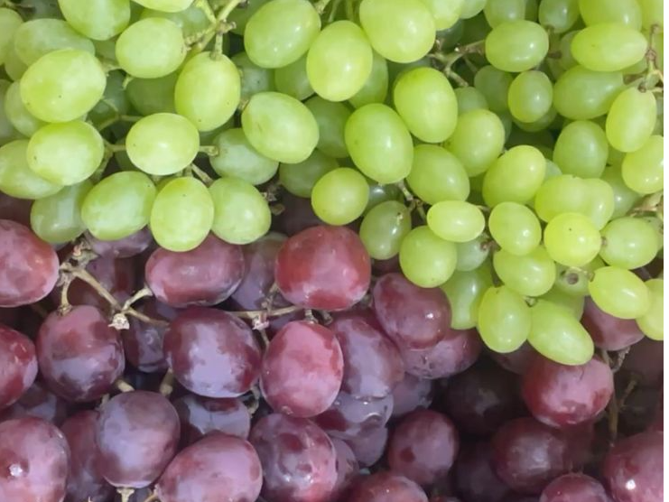 Uvas