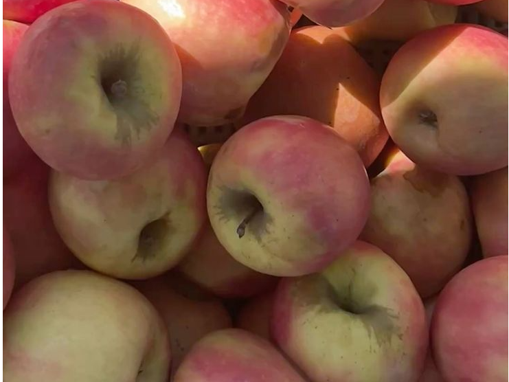Manzana Rosa