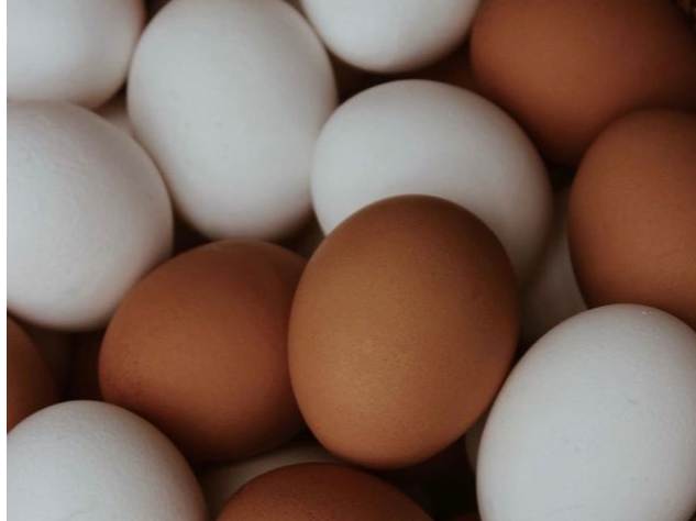 Huevos — Unidad