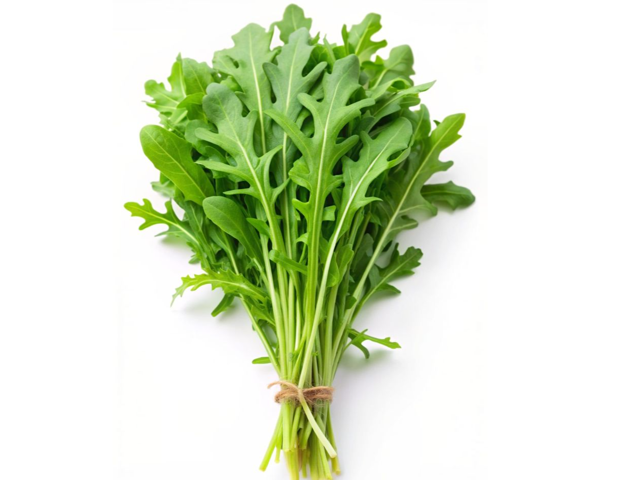 Achicoria