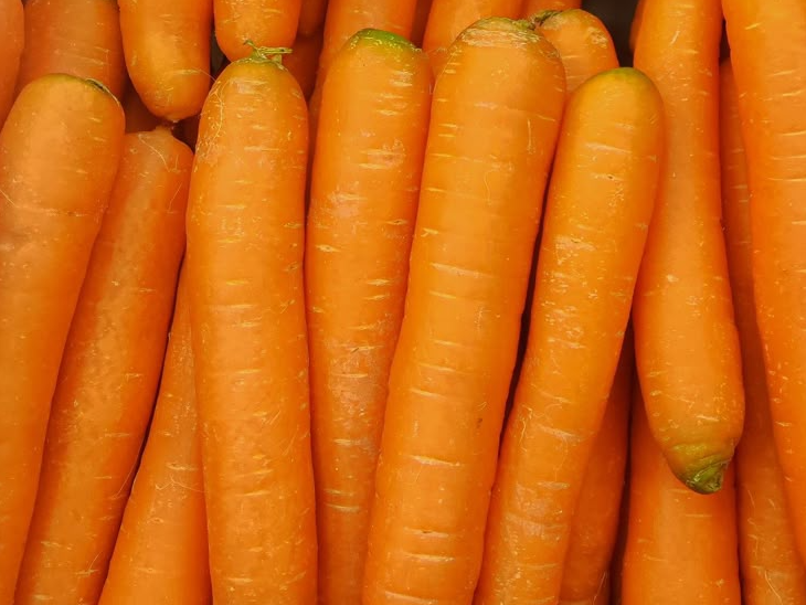 Zanahoria