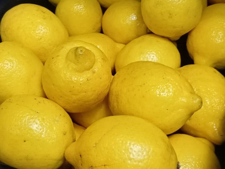 Limon