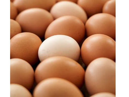 Huevos de Campo de Frutos del Valle