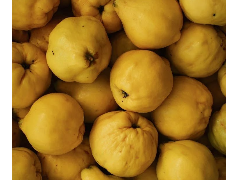 Membrillo