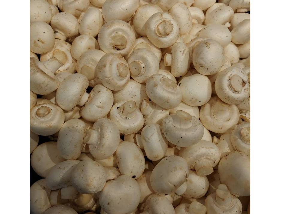 Champignon