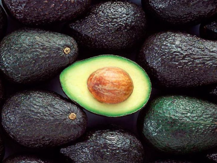 Palta Chilena