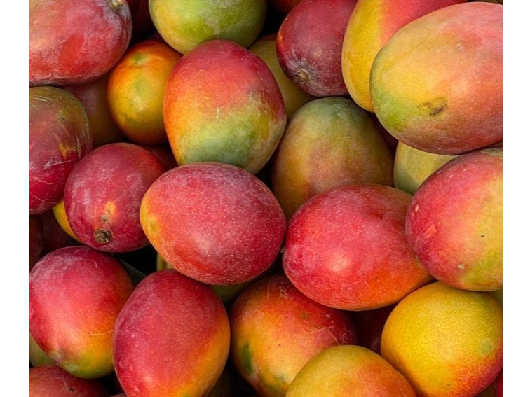 Mango