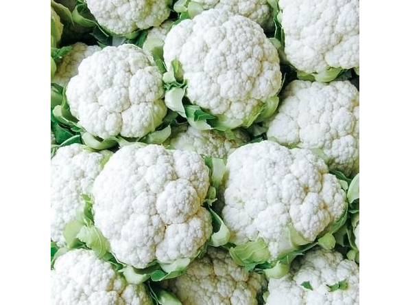 Coliflor