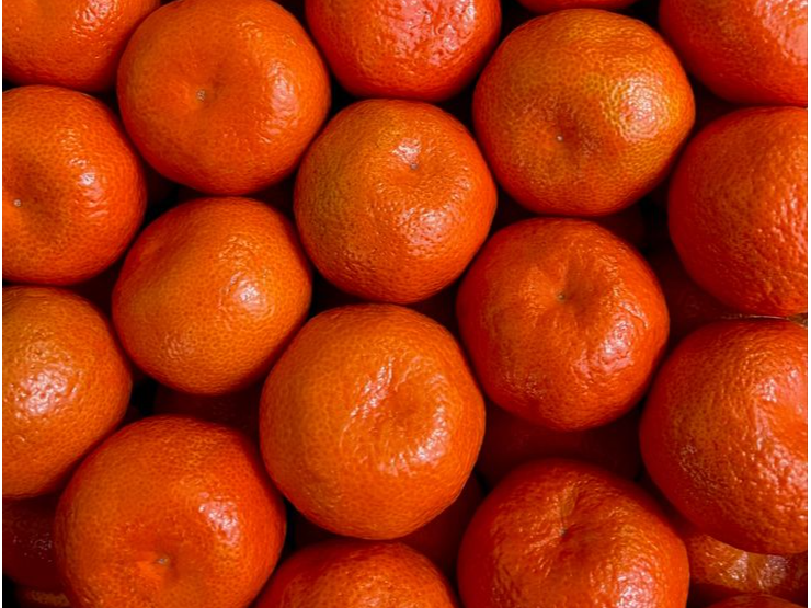 Mandarina Nova