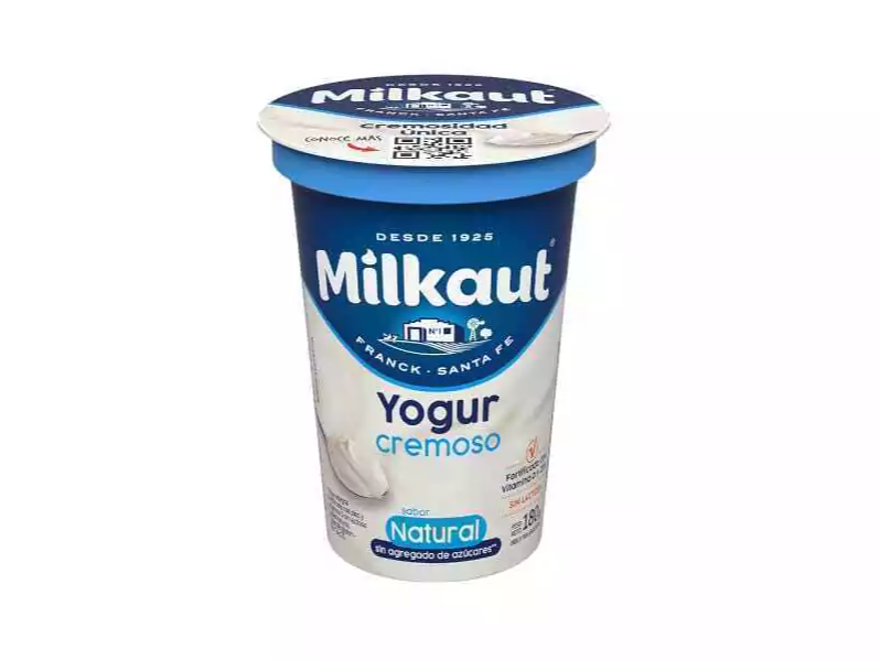 Yogurt Natural