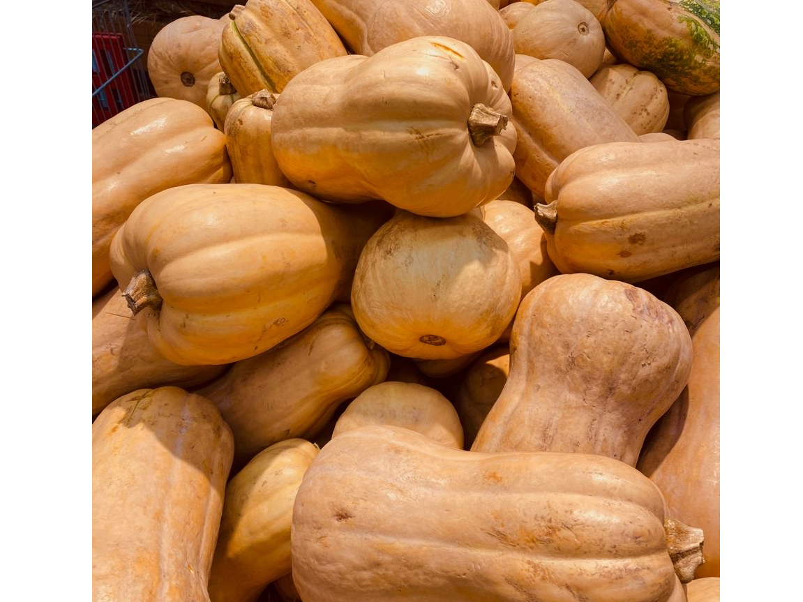 Calabacín