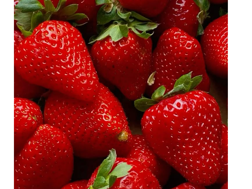 Frutilla