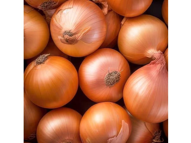 Cebolla