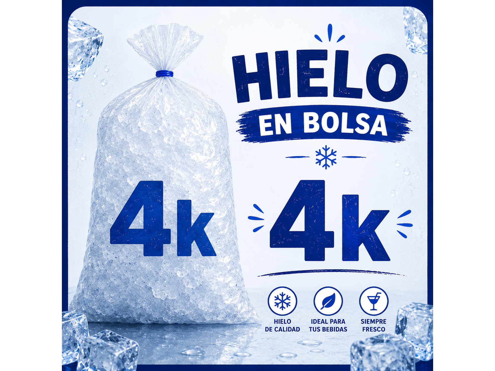 Bolsa 4 kilos
