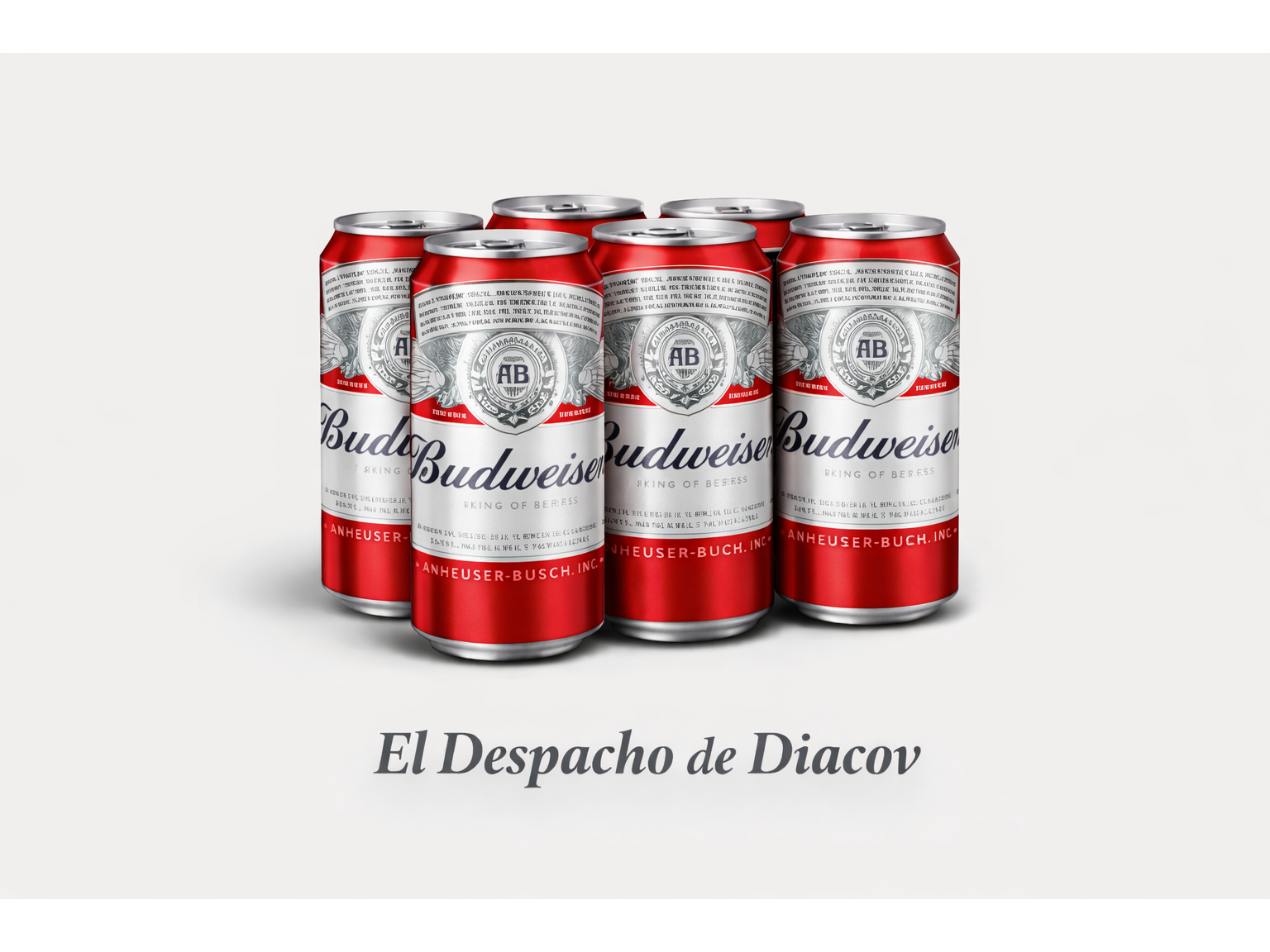 Pack Budweiser x 6