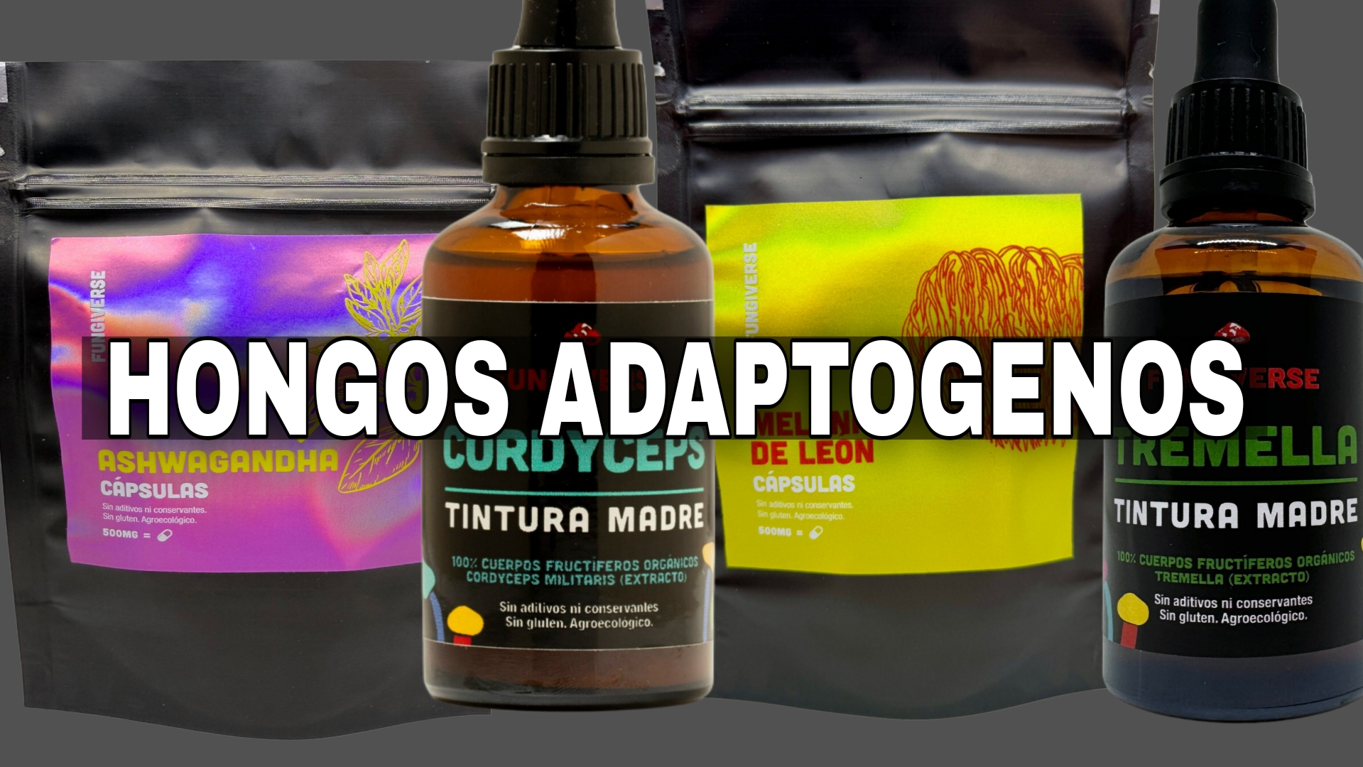 Hongos Adaptogenos