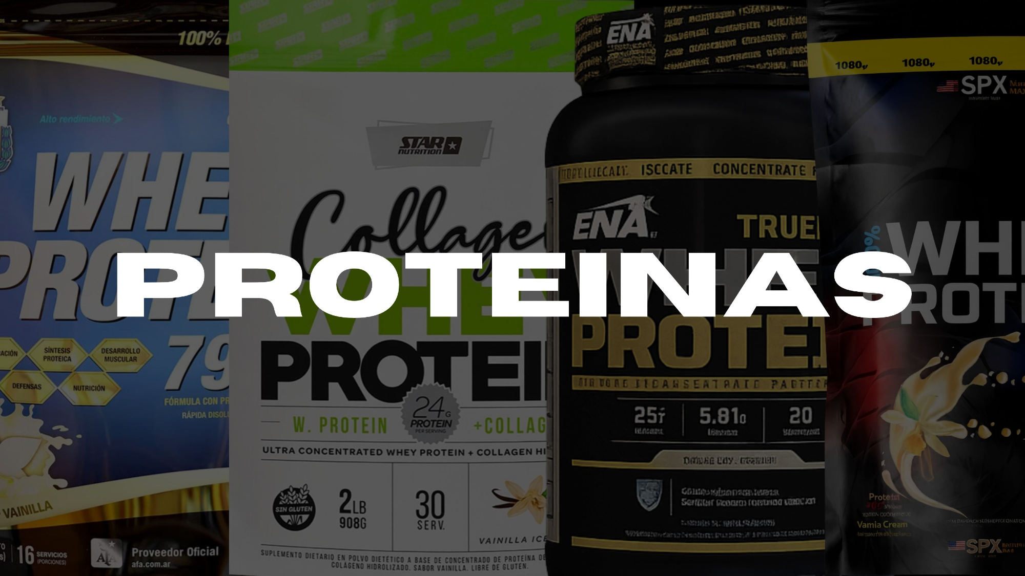 PROTEINAS