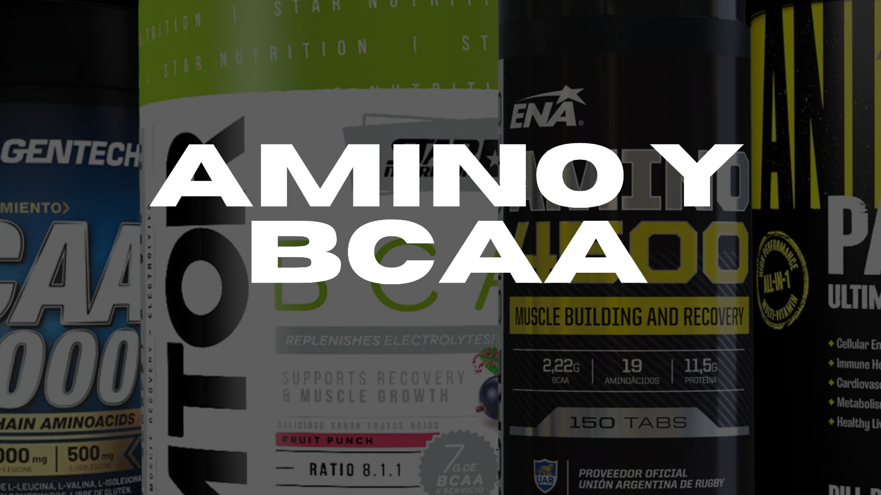 AMINO / BCCA