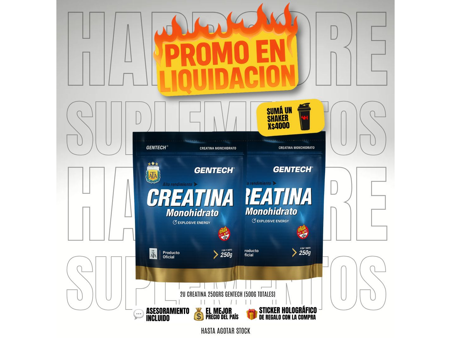 GENTECH CREATINA 250 GR X2