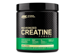 300g Optimum Nutrition Creatina Micronizada Suplemento