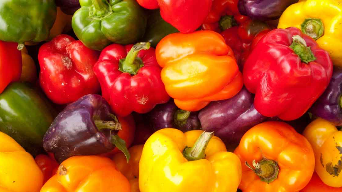 🫑🌶️ Pimientos & ajís