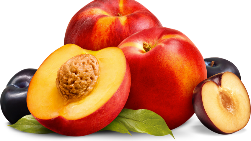 🍑 Frutas de carozo