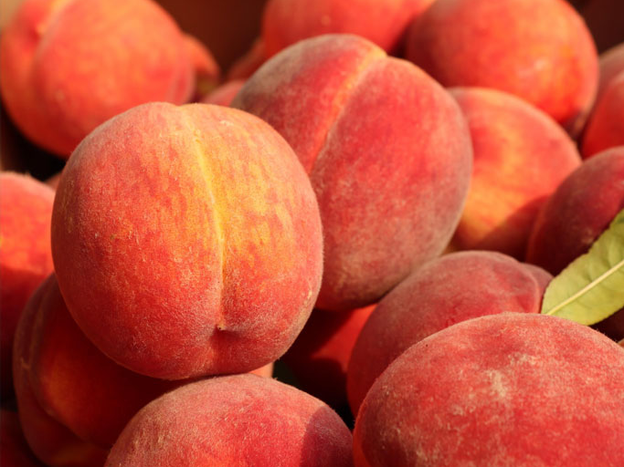 Durazno pelusa colorado