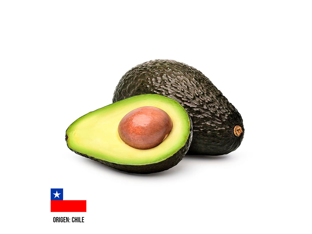 Palta hass chilena