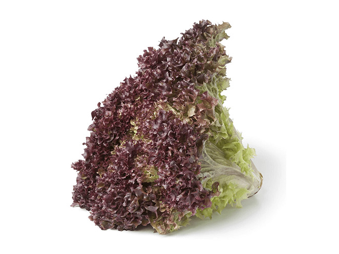Lechuga morada